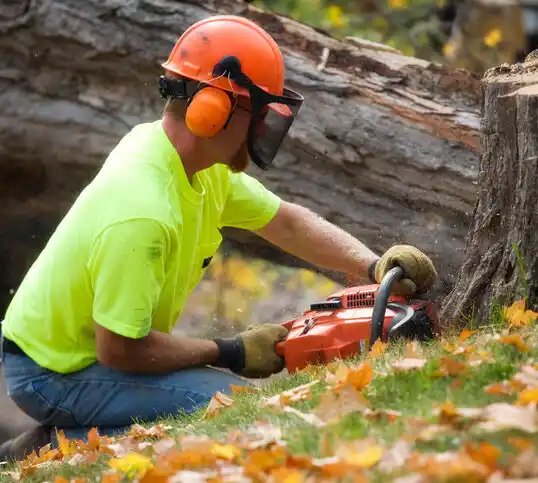 tree services Caspian